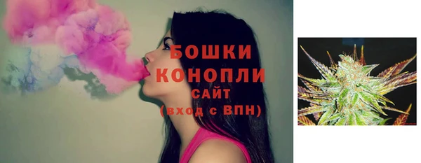 соль ск Осинники
