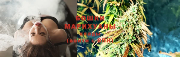 соль ск Осинники